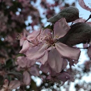 Meet your Posher, Clare